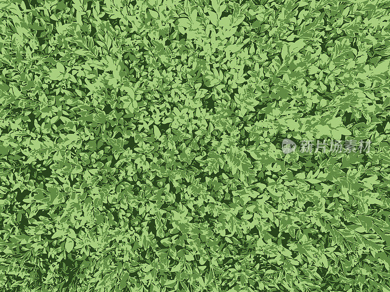 绿草垃圾纹理。黑色灰尘Scratchy Pattern。抽象的背景。矢量设计作品。变形的效果。裂缝。